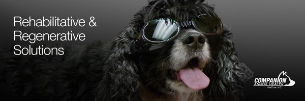 CompanionLaser Profile Banner