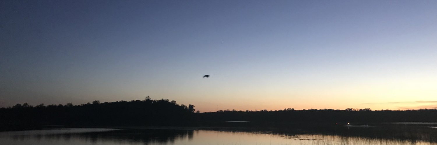 ColeLusinger's profile banner image