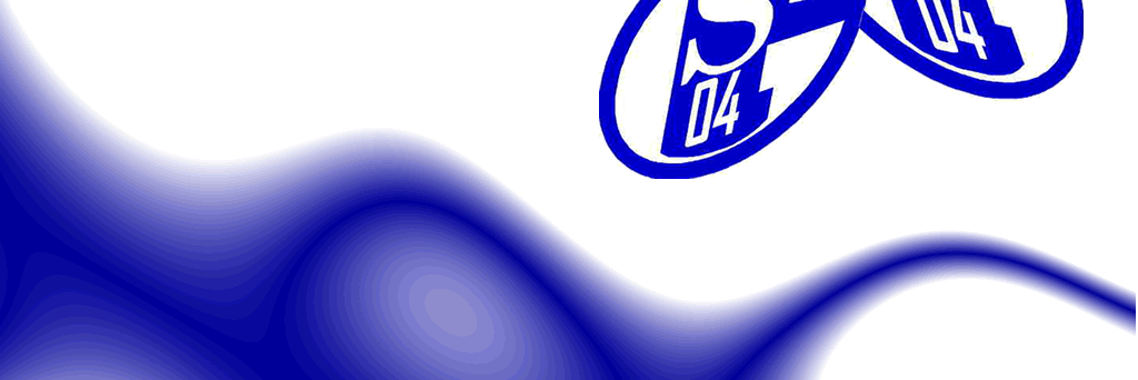 schalke52's profile banner image