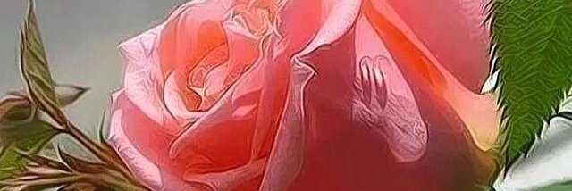 droop_m's profile banner image