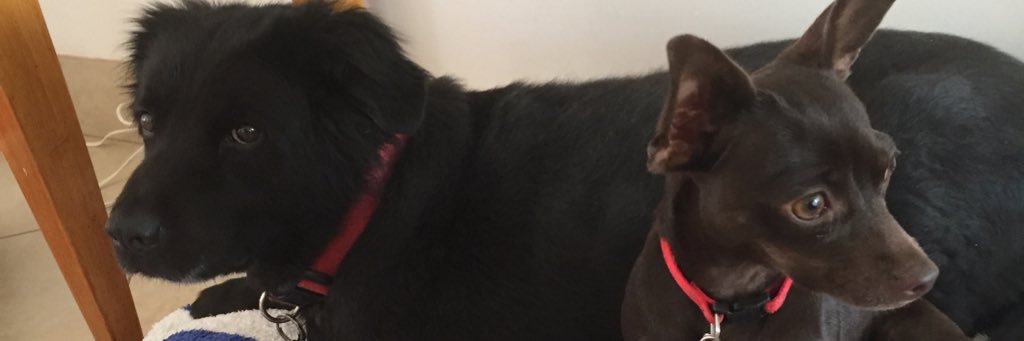naomimarcheco's profile banner image