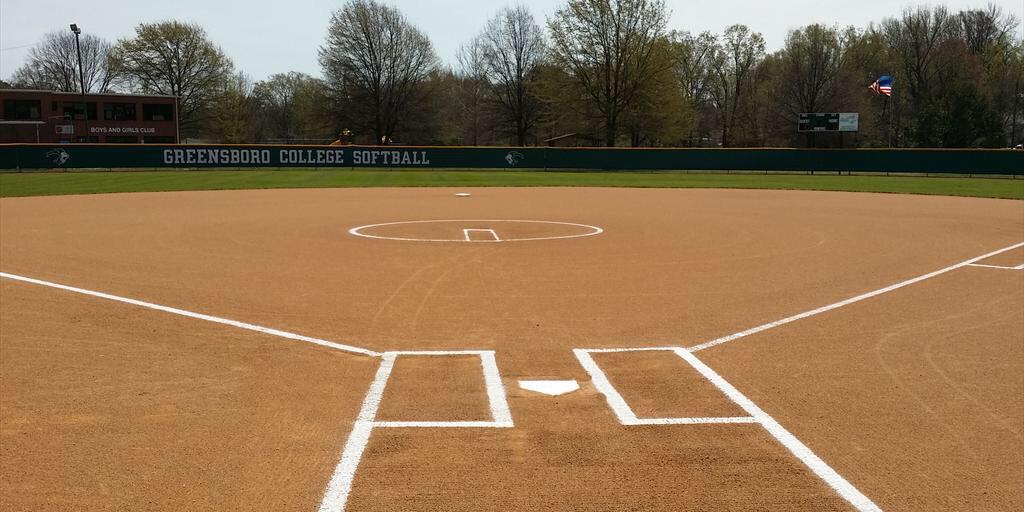 Greensboro Softball banner