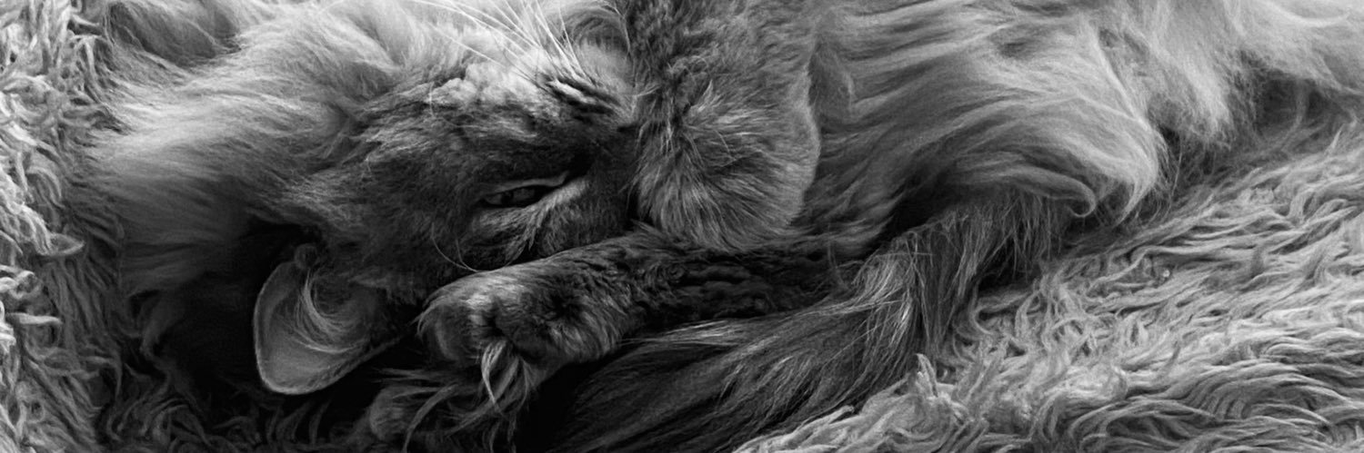 Israa ໑̣ 🇵🇸 MET LOUIS ??!!!! banner