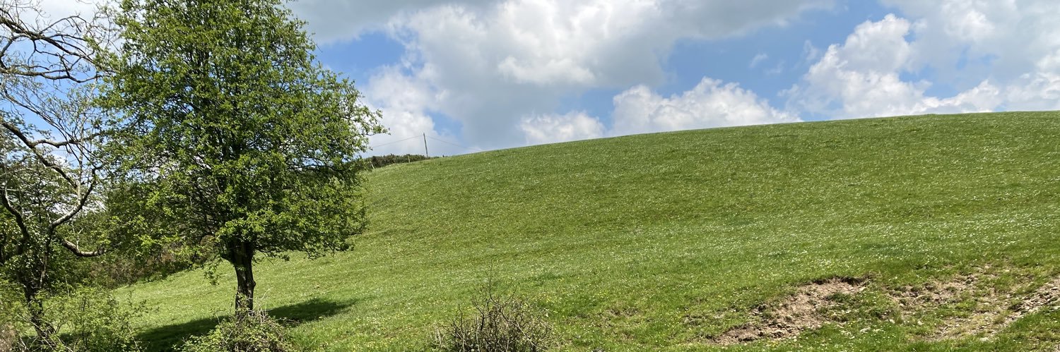 jaysusannah's profile banner image