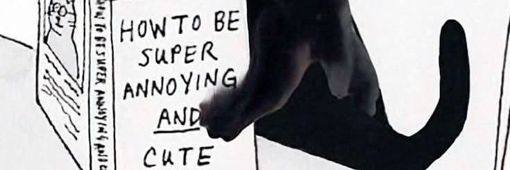 badreader's profile banner image