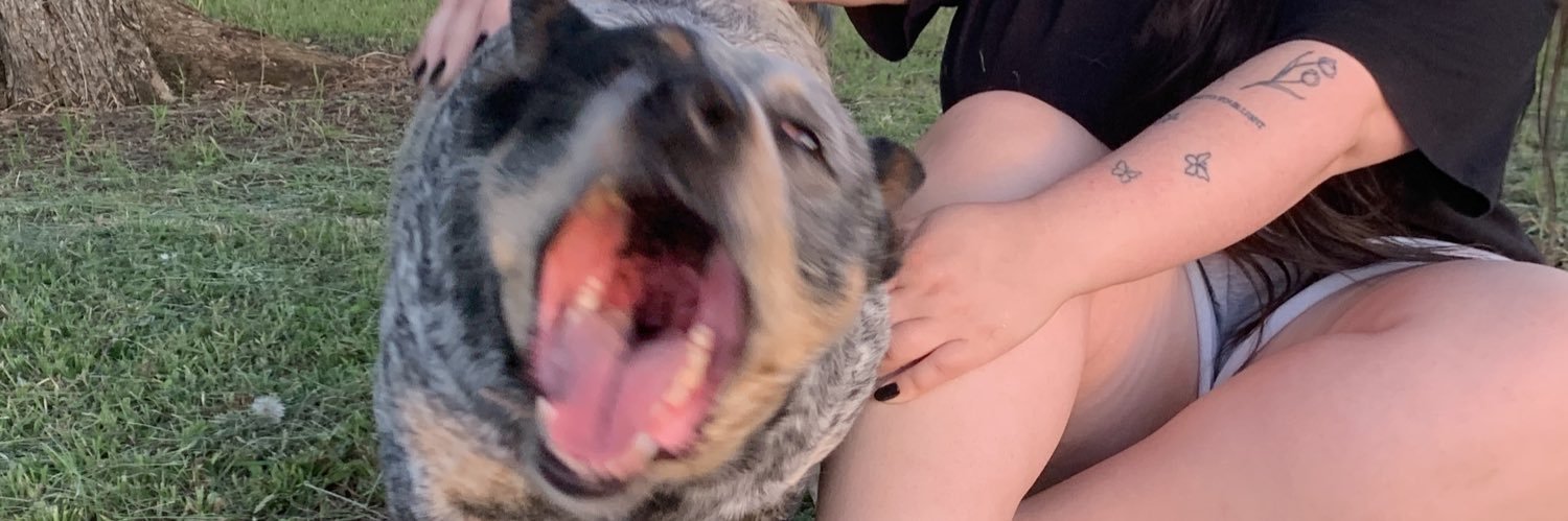 fcargnin_'s profile banner image