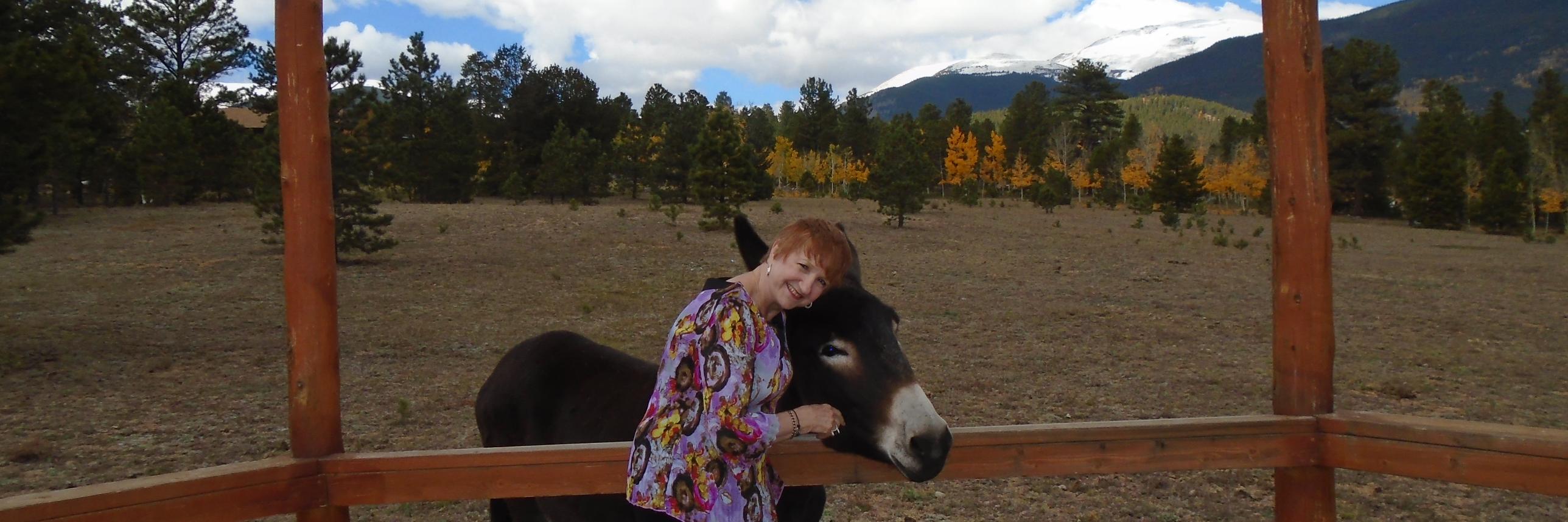 Resqranch's profile banner image