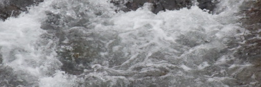 bibleweeks's profile banner image