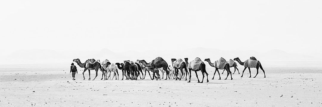 ‏‏‏‏᷂‏‏᷂مياح‏‏‏‏ banner