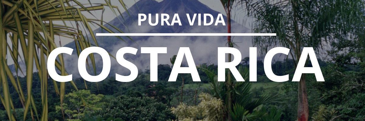 Emi Mora G 💜 banner