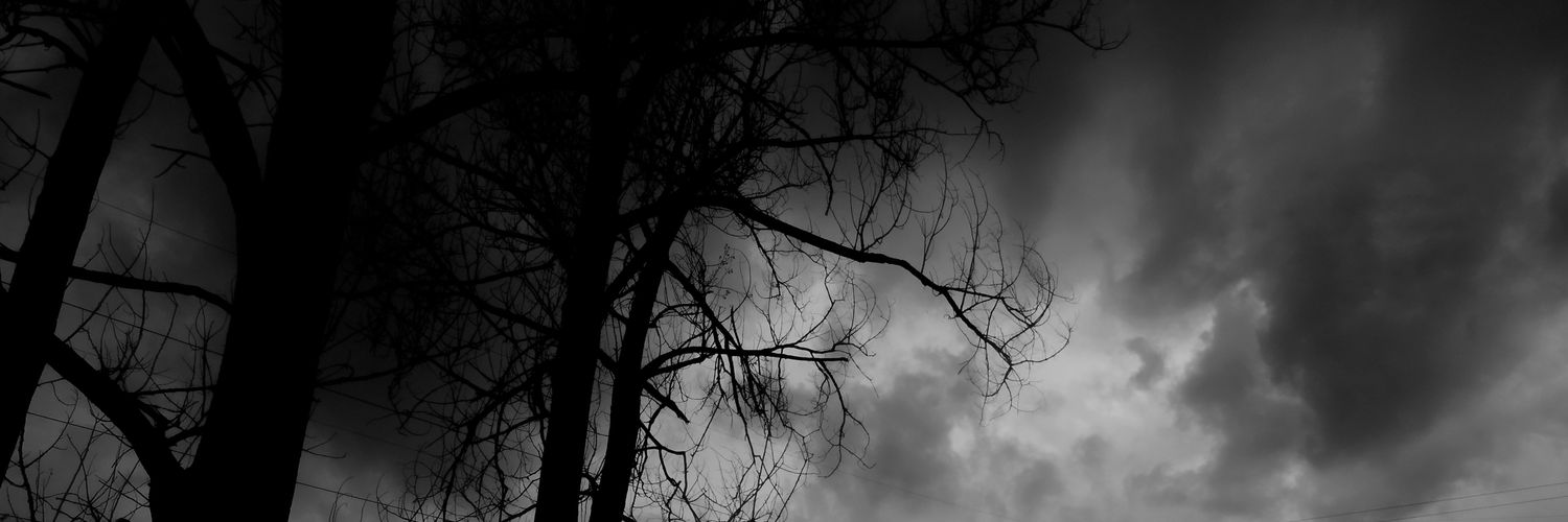 R_MadCap's profile banner image