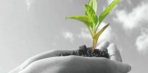 Self123Ksa's profile banner image