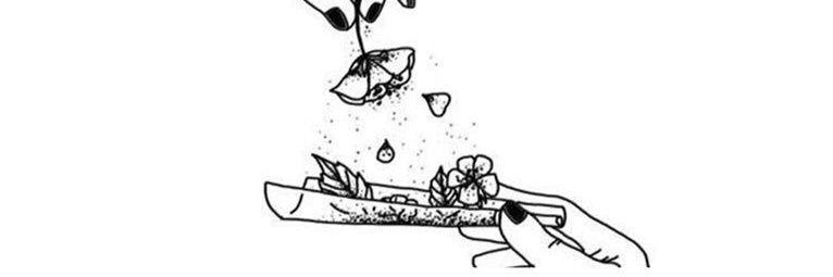 berzanksr's profile banner image