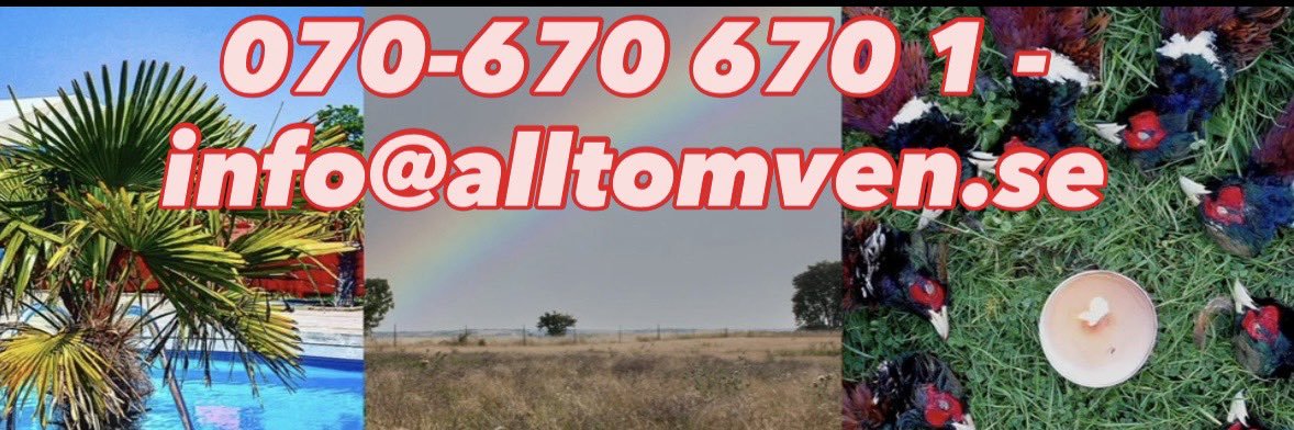 alltomven's profile banner image
