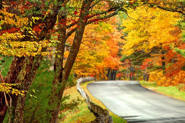 RJCopperbeech's profile banner image