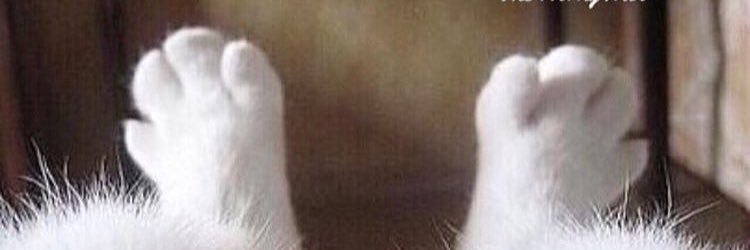 rasgeirs's profile banner image