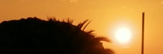 Pauli620's profile banner image