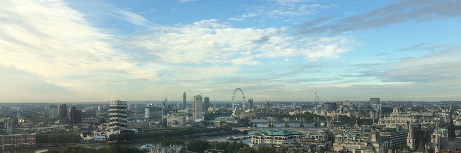 Robert Hurling banner