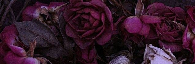 _sharonmw's profile banner image