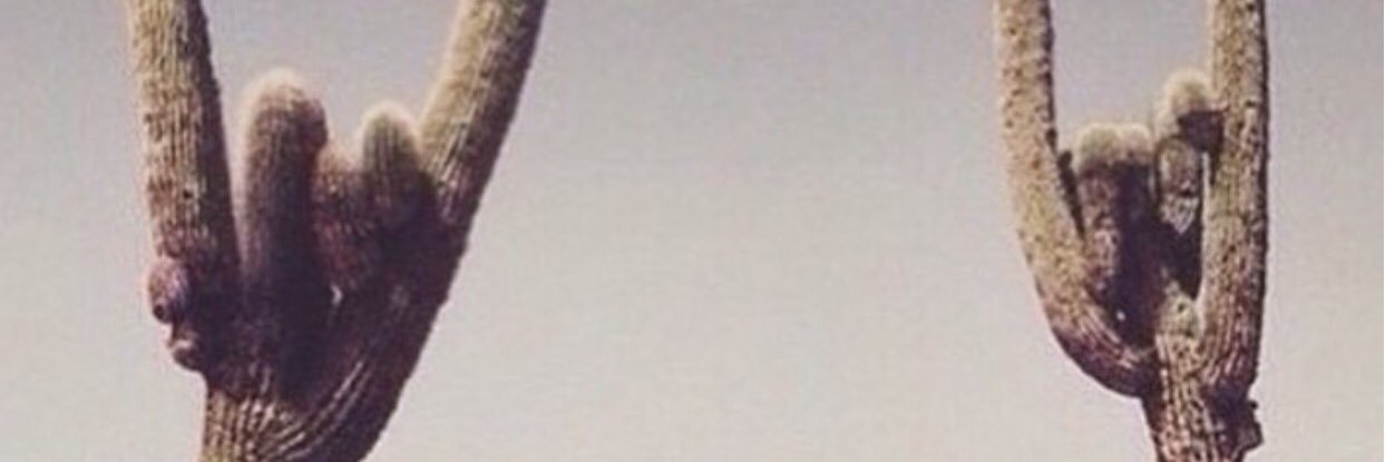 saratexxas's profile banner image