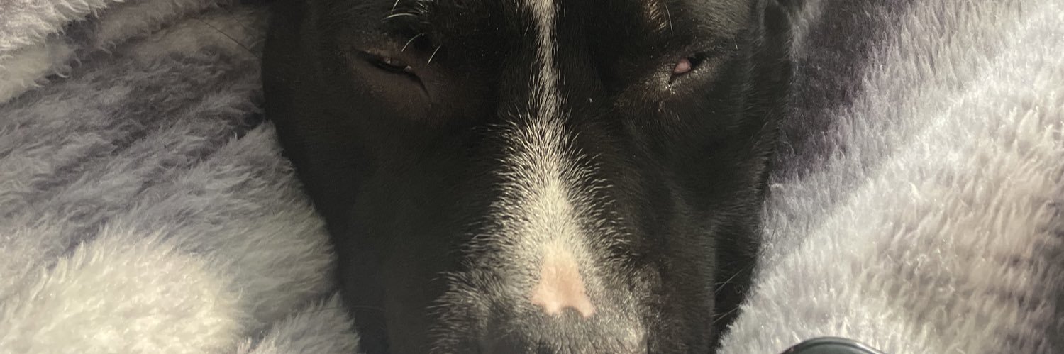 samswamp00's profile banner image