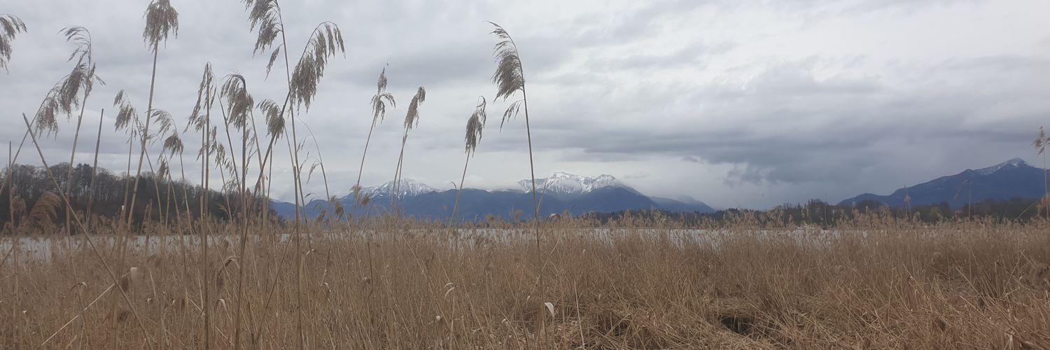 Roland de Beauclair  banner