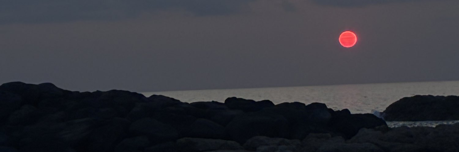 thebrownvelma's profile banner image