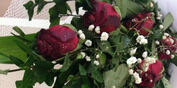 fatma_1990's profile banner image