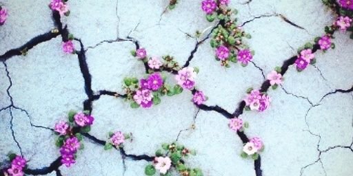 esty_a's profile banner image