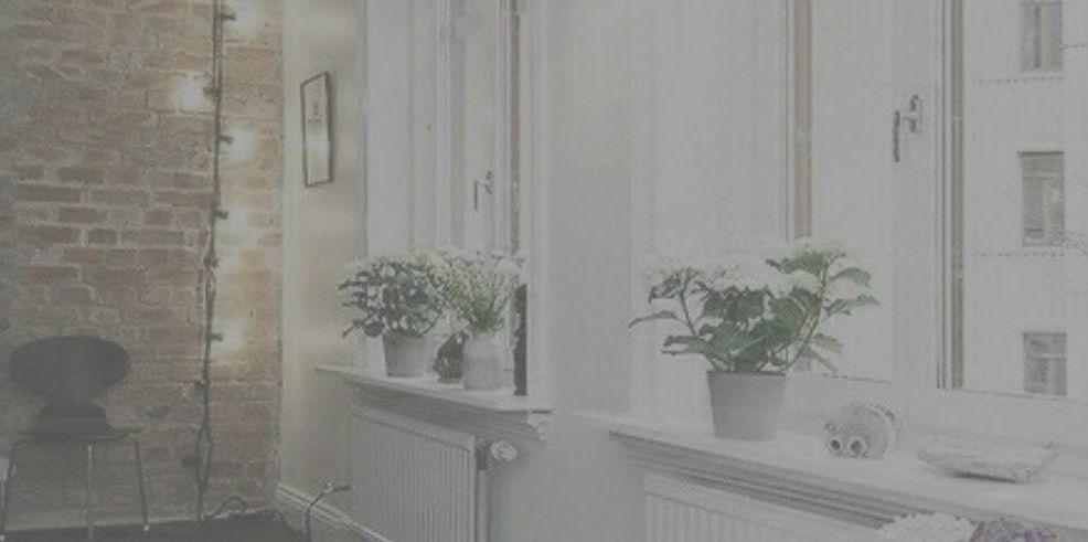 fatima_armasis's profile banner image