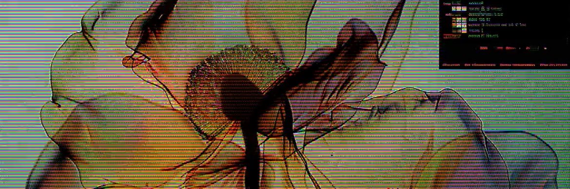 percoskeptic's profile banner image