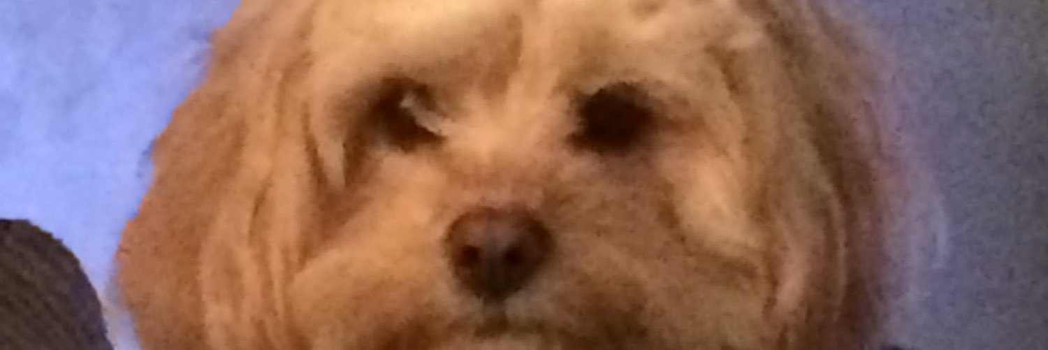 Debidoobi's profile banner image