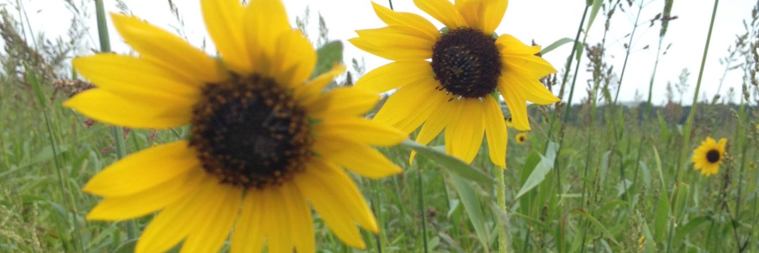 HaightLovett's profile banner image