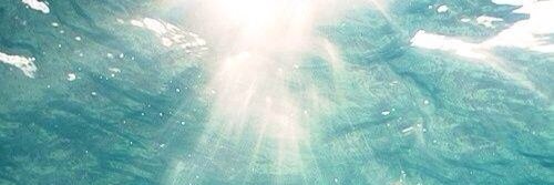 cridgenatasha's profile banner image