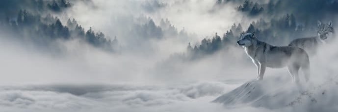 Grssa_LZ's profile banner image