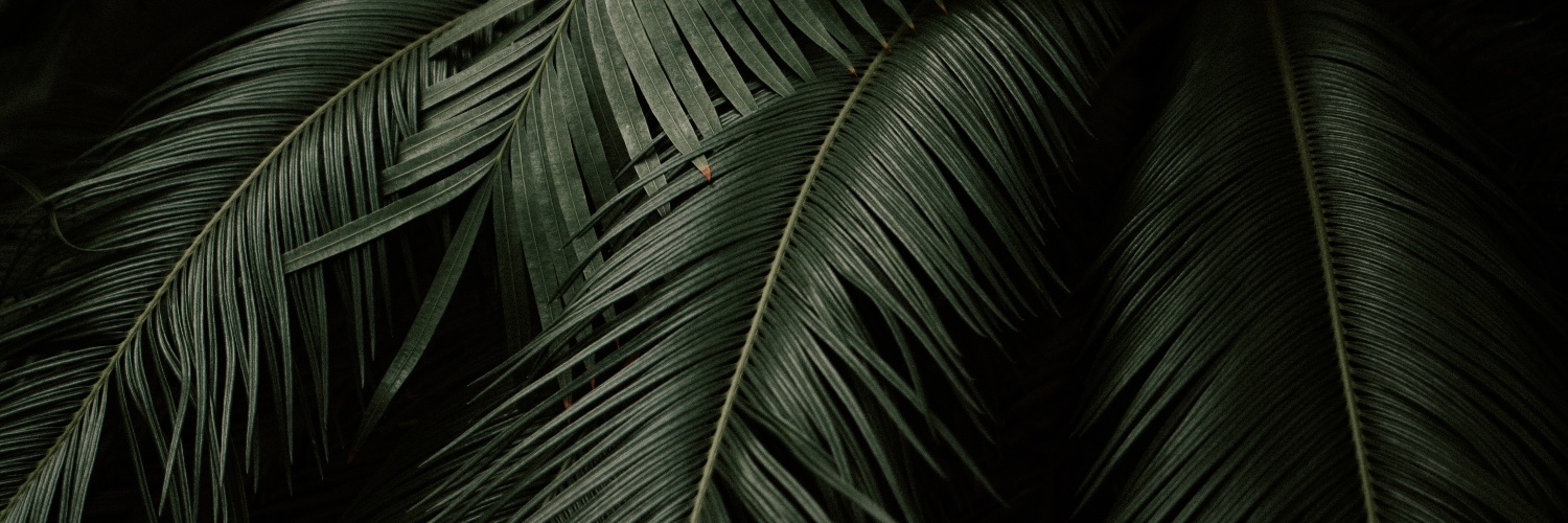 adam_moreno's profile banner image