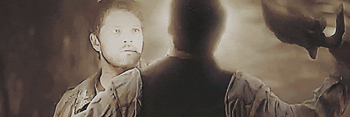 CasStayedBehind's profile banner image