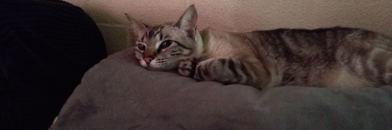 Zarp001's profile banner image