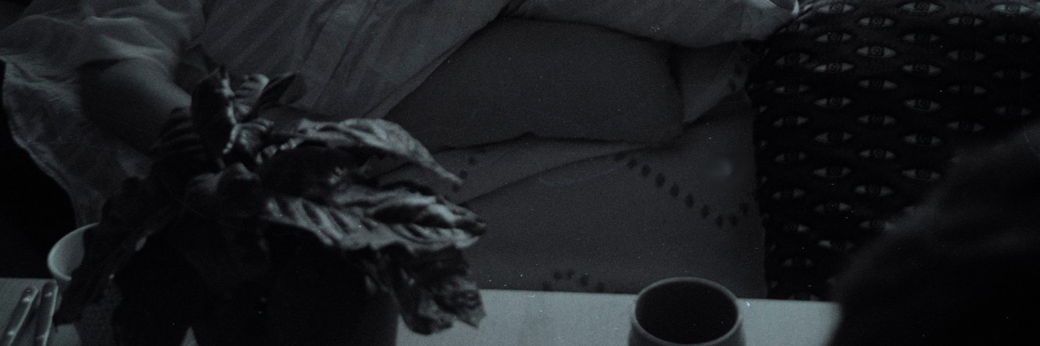 noearoyer's profile banner image