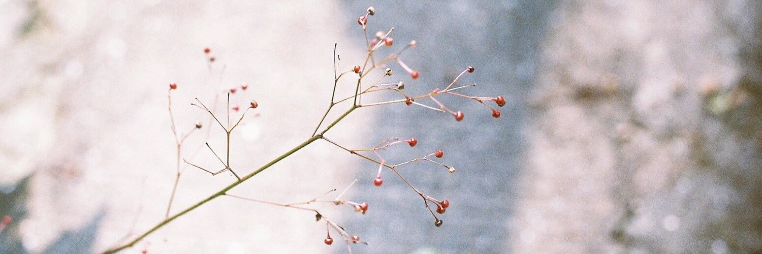 ___ar810's profile banner image