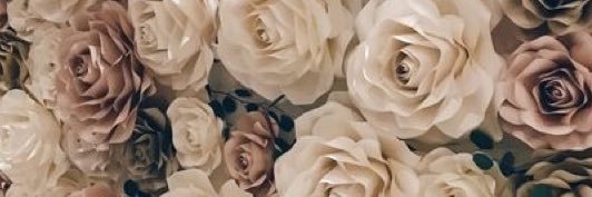 LittleCollette's profile banner image