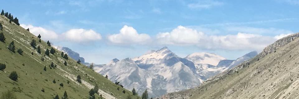 Tonitank77's profile banner image