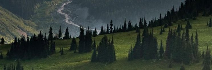 Viberian_'s profile banner image