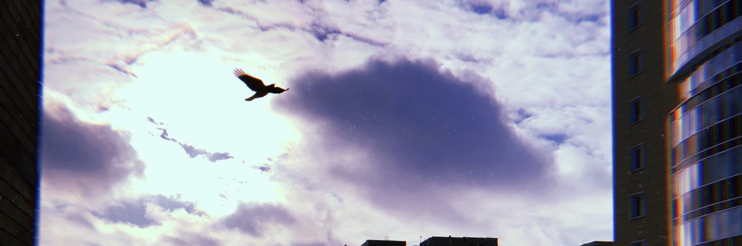 vdumcheva's profile banner image