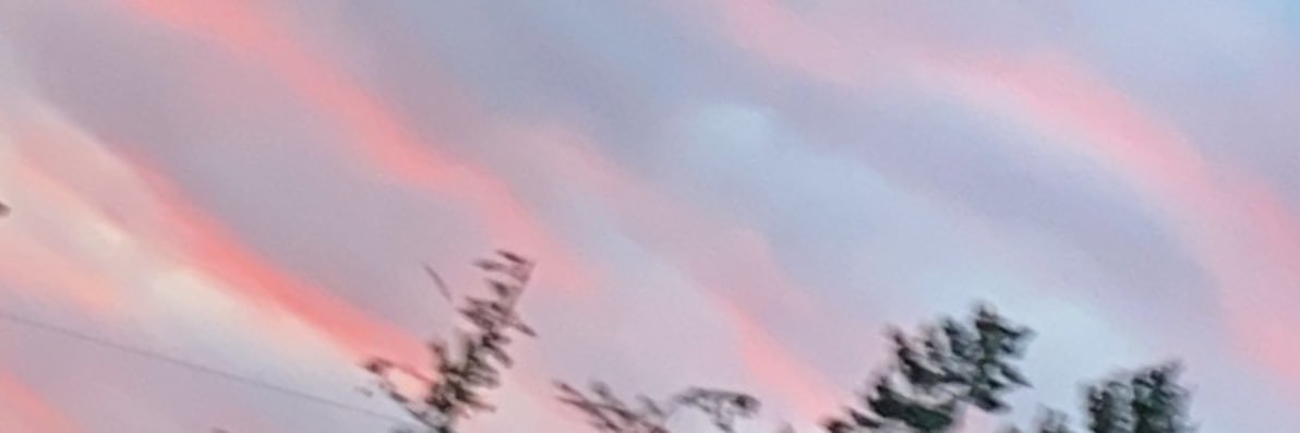 Litzyfrancoo's profile banner image