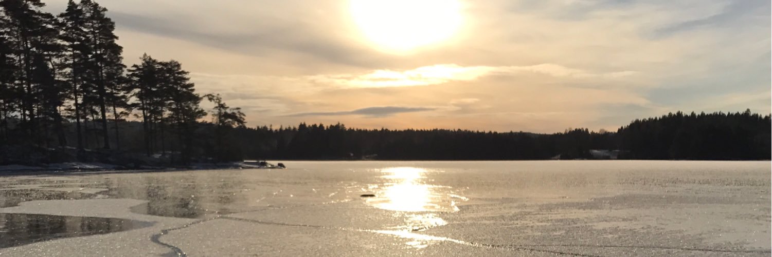 amandawik's profile banner image