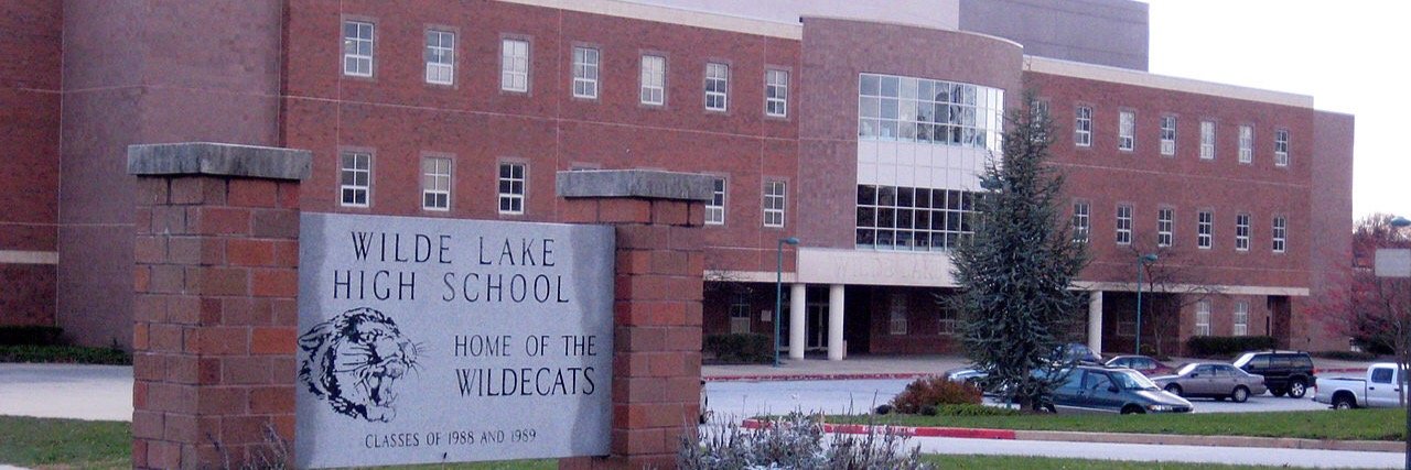 WLHS c/o 2017 banner