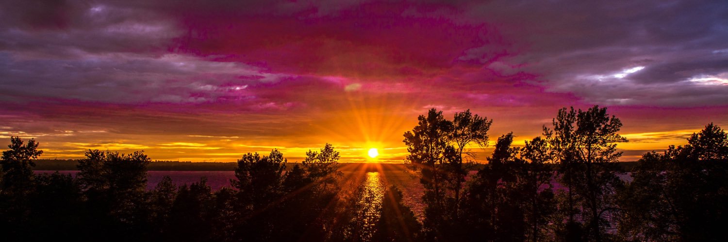 Kara van der Hoff banner