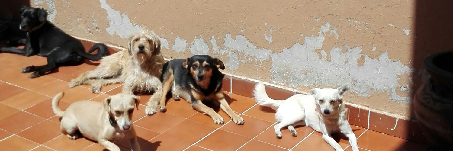 luluglezglez's profile banner image