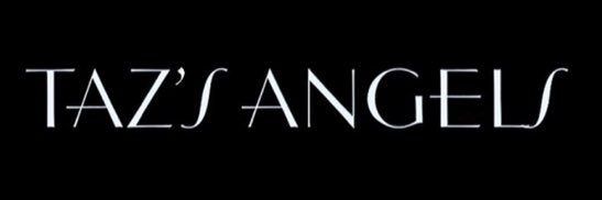 Taz's Angels banner